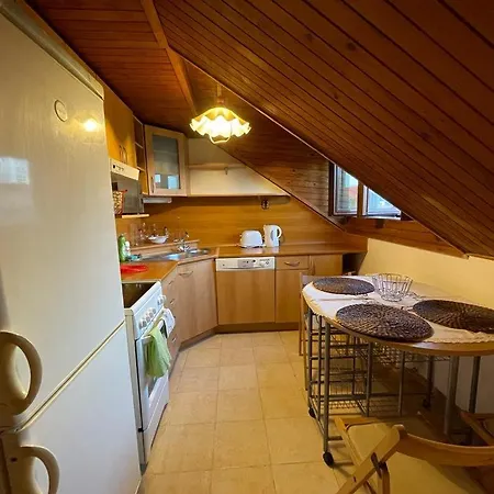 Attic Flat In The Center Apartmán *